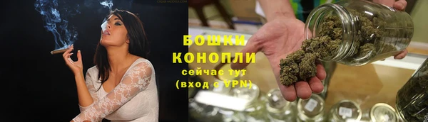 хмурый Бородино