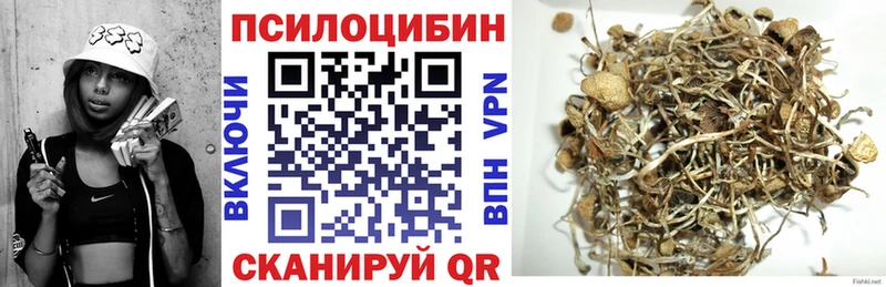Псилоцибиновые грибы мицелий omg ТОР Гудермес